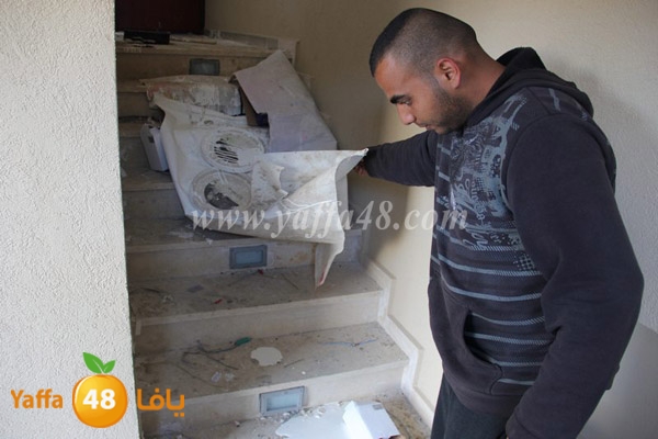 modahama lud 0216 (35).JPG